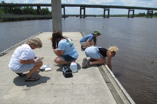 Participants collecting water samples for bacterial water testing at a certification workshop